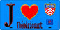 Plaque métal décorative  J' ❤️Théméricourt, Val d'Oise (95) fond carte