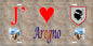 Plaque métal décorative 15 x 30 cm mur antique J' ❤️ Aregno  Canton de Calvi Haute-Corse
