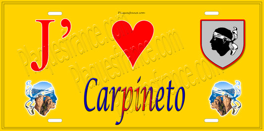Plaque métal décorative 15 x 30 cm jaune J' ❤️ Carpineto Canton de la Castagniccia Haute-Corse