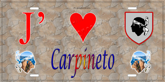 Plaque métal décorative 15 x 30 cm mur antique J' ❤️ Carpineto Canton de la Castagniccia Haute-Corse