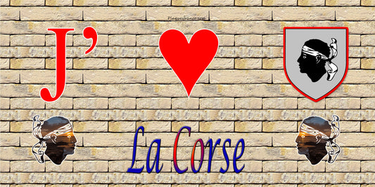 Plaque métal décorative 15 x 30 cm mur 1 J'❤️la Corse - Plaquesfrance.com