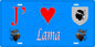 Plaque métal décorative 15 x 30 cm bleu J' ❤️ Lama Canton de l'Île-Rousse Haute-Corse