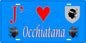 Plaque métal décorative 15 x 30 cm bleu J' ❤️ Occhiatana Canton de l'Île-Rousse Haute-Corse