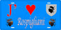 Plaque métal décorative 15 x 30 cm bleu J' ❤️ Rospigliani Canton de Fiumorbo-Castello Haute-Corse