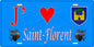 Plaque métal décorative 15 x 30 cm bleu J' ❤️ Saint Florent Canton de Biguglia-Nebbio Haute-Corse