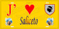 Plaque métal décorative 15 x 30 cm jaune J' ❤️ Saliceto Canton de Golo-Morosaglia Haute-Corse