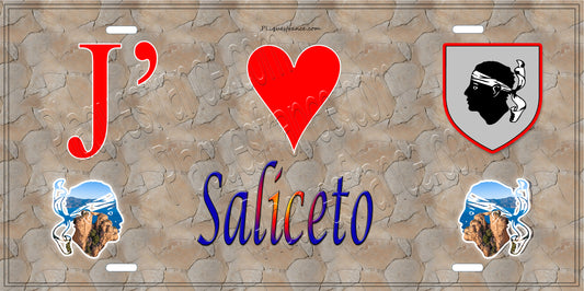 Plaque métal décorative 15 x 30 cm mur antique J' ❤️ Saliceto Canton de Golo-Morosaglia Haute-Corse