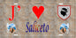 Plaque métal décorative 15 x 30 cm mur antique J' ❤️ Saliceto Canton de Golo-Morosaglia Haute-Corse