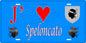 Plaque métal décorative 15 x 30 cm bleu J' ❤️ Speloncato Canton de l'Île-Rousse Haute-Corse