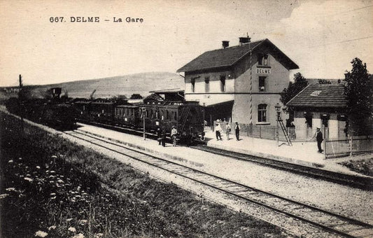 Delme : carte postale ancienne en préparation