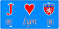 Plaque métal décorative, J' ❤️Lyon, Rhône (69)