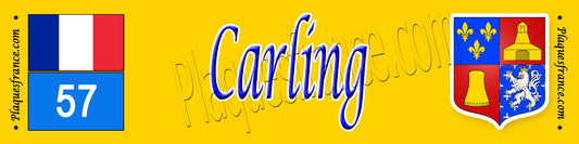 Plaque métal décorative 10x40 cm jaune Carling 57