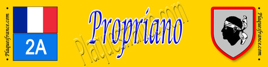 Plaque métal décorative 10 x 40 cm jaune Propriano