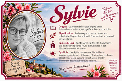 Plaque métal décorative, SYLVIE PAULY